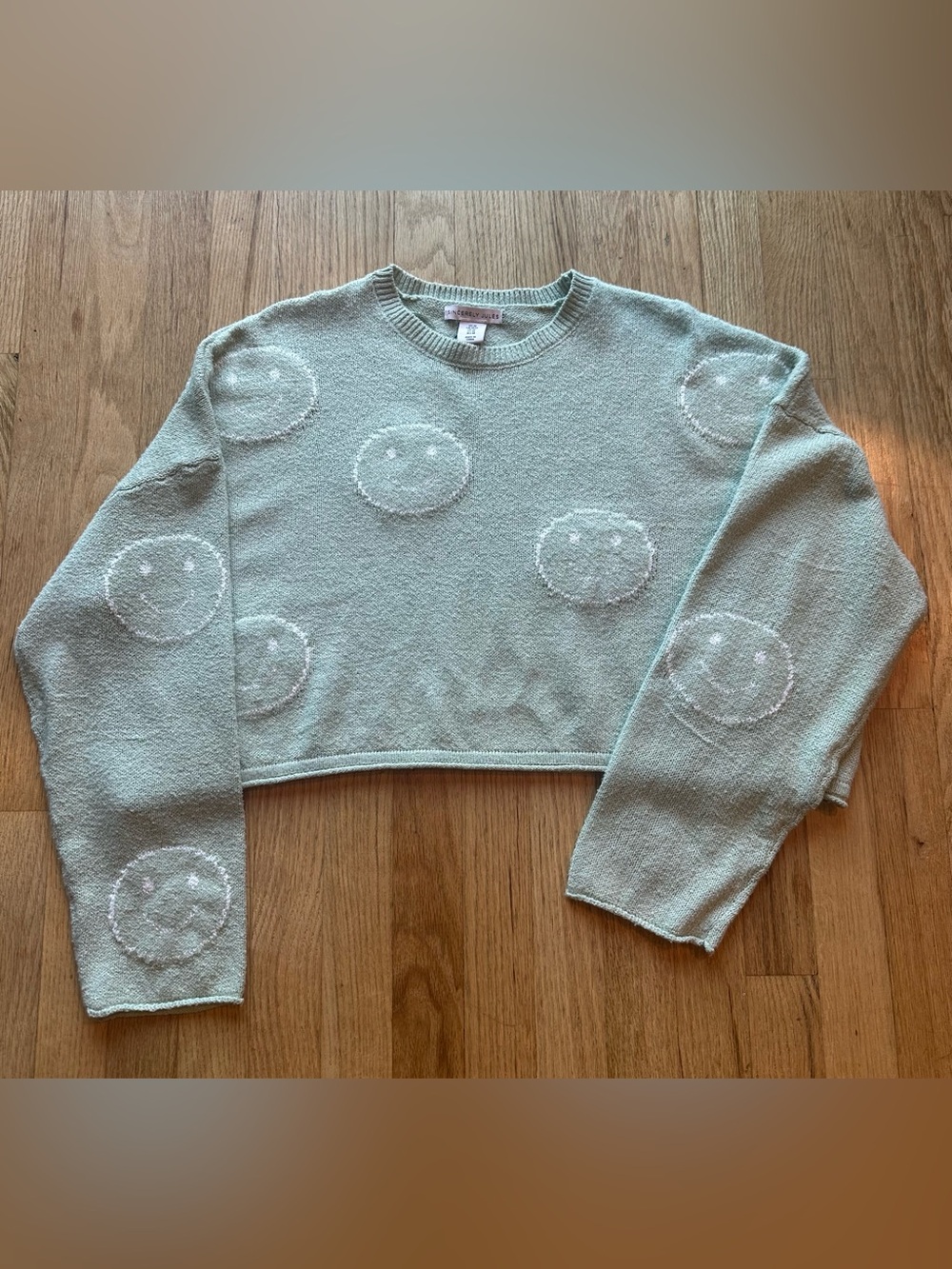 Sincerely Jules Cropped Sage/Mint Green Smiley Cropped Sweater (M)